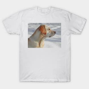 Labrador Retriever Yellow fourth T-Shirt